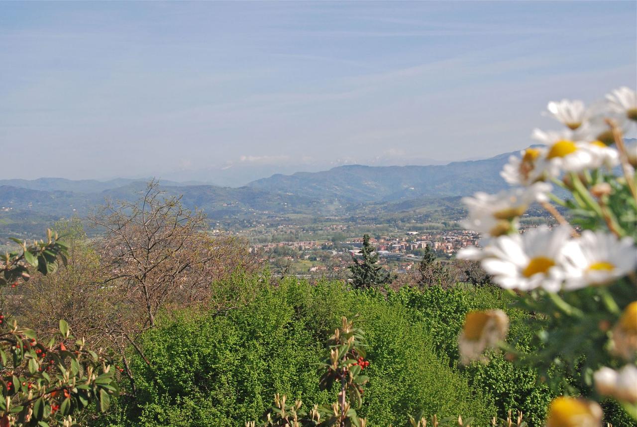 Montefiore By Salogi Villas Lucca Bagian luar foto